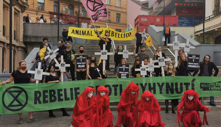 FOTO/VIDEO: Rebelové pochodovali Brnem v pietě za vyhynulé živočichy