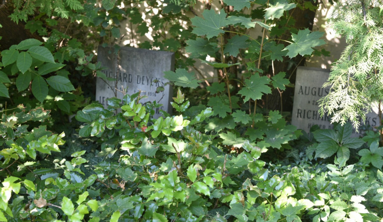 O zanedbané hroby v Brně se budou starat dobrovolníci