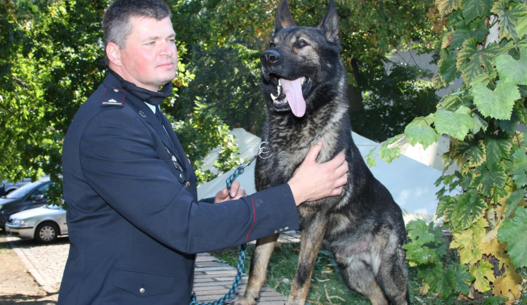 Za záchranu lidského života obdržel psovod ocenění Statečné psí srdce