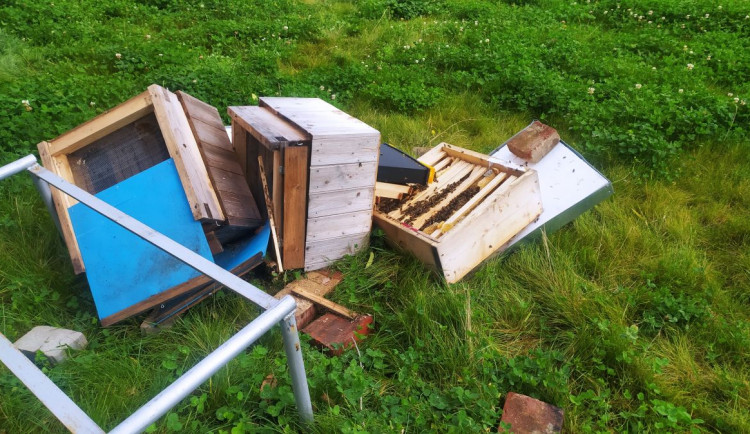 Zločin proti přírodě. Neznámý vandal v Brně rozmlátil dva úly, včely neměly šanci přežít