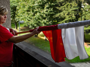 VOLBY 2020: Na jižní Moravě vyhrává ANO s necelými 20 procenty, senátní volby už znají postupující do druhého kola