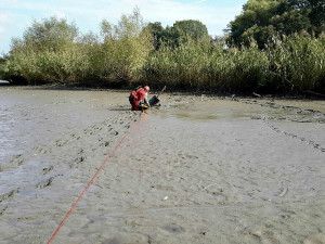 Jihomoravští hasiči měli v pátek napilno, museli vyprošťovat z bahna muže a koně z bazénu