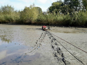 Jihomoravští hasiči měli v pátek napilno, museli vyprošťovat z bahna muže a koně z bazénu
