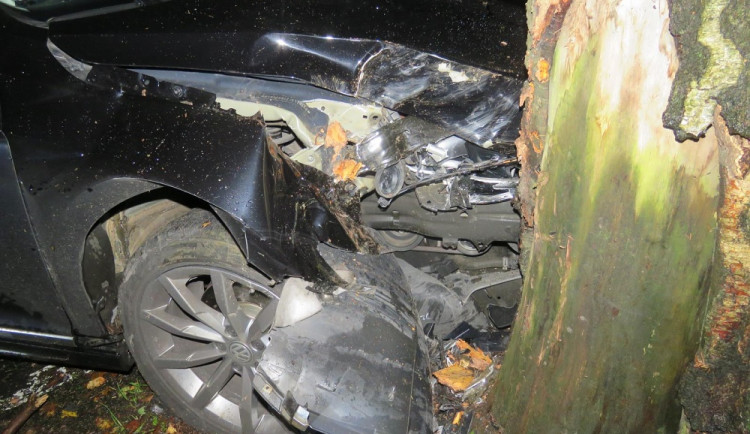 Řidiči vběhly do cesty srnky, strhl řízení a skončil ve stromě