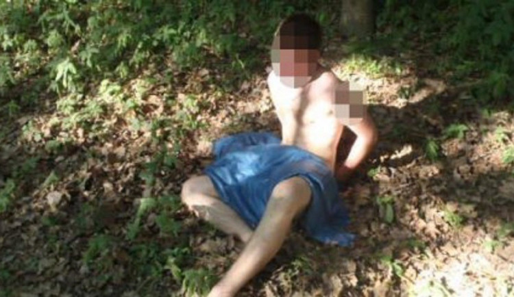 Muž se v Brně schovával za stromem a masturboval při pohledu na ženu, která venčila psa