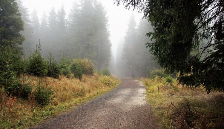 gods-gift-4590624_1920