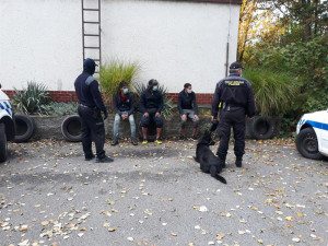 Celníci chytili na poli u hranic se Slovenskem tři nelegální migranty