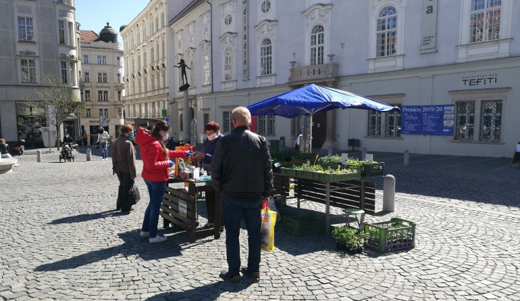 Brno-střed chce pomoci malým zemědělcům. Trhy na Zelňáku potrvají až do druhé poloviny listopadu