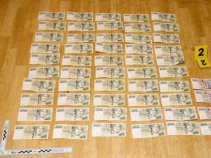 Dva mladíci ze Znojemska pěstovali trávu a prodávali ji do Rakouska. K tomu pak rozjeli i obchod s extází