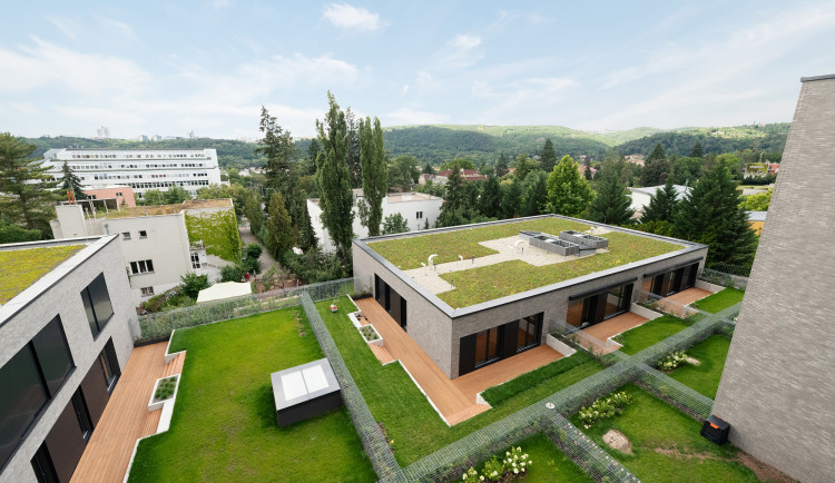 Brno jako první město v republice podpořilo vytváření zelených střech. Za projekt získalo prestižní ekologickou cenu