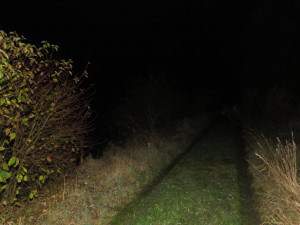 Opilý řidič domů nedojel. S dvěma promile skončil v rybníce