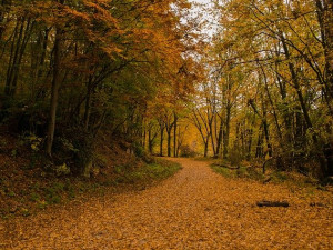 POČASÍ NA STŘEDU: Teploty se přes den nepřehoupnou přes osm stupňů