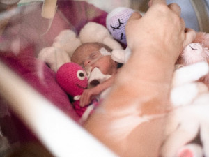 Špilberk se v pondělí purpurově rozzáří, barvou králů připomene Světový den předčasně narozených dětí