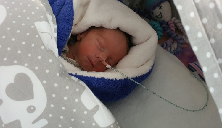 Malý bojovník se dostal na svět o několik týdnů dříve