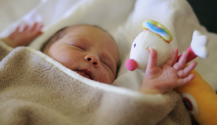 17. listopad – Den nezdolných bojovníků. O život…