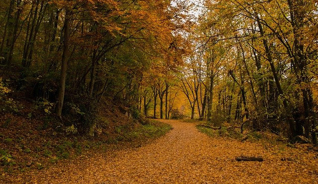 size3-16050398578064-60-pocasi-na-stredu-teploty-se-pres-den-neprehoupnou-pres-osm-stupnu