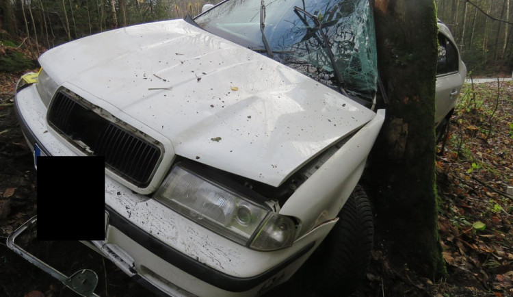 V zatáčce dostal smyk a skončil ve stromě