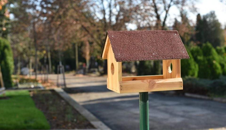 Na hřbitovech přibudou krmítka pro ptáky, pomohou jim v hnízdění a přezimování