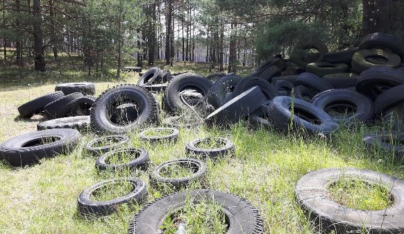 Za černými skládkami mnohdy stojí nevědomost, speciální web radí řidičům, co se starými pneumatikami
