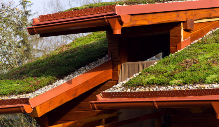 Brno podpoří dotacemi zájemce o zelené střechy, chce využít srážkovou vodu