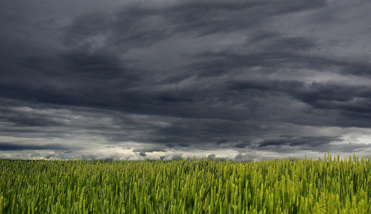 POČASÍ NA PÁTEK: Teploty až pět stupňů nad nulou. K večeru lehký déšť