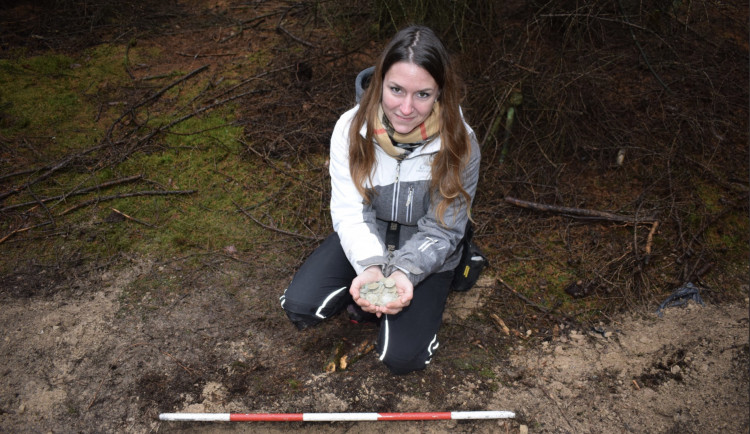 Při procházce v lese našla žena z Brněnska stříbrný poklad z 15. století