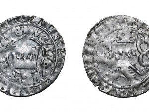 Při procházce v lese našla žena z Brněnska stříbrný poklad z 15. století