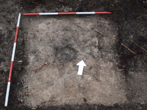 Při procházce v lese našla žena z Brněnska stříbrný poklad z 15. století