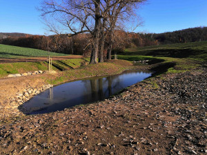 Povodí Moravy revitalizovalo Knínický potok, vznikly na něm nové tůně a mokřady