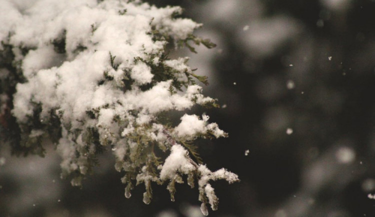 POČASÍ NA BOŽÍ HOD: Den po Vánocích konečně zasněží. Bílá pokrývka však dlouho nevydrží