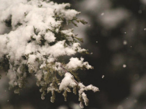 POČASÍ NA BOŽÍ HOD: Den po Vánocích konečně zasněží. Bílá pokrývka však dlouho nevydrží