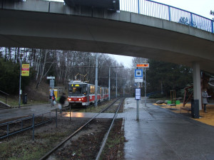 Neznámý násilník v Brně brutálně napadl devadesátiletou babičku kvůli tašce s hruškami