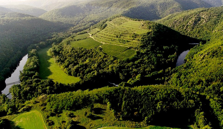 Víno zde pěstovali už před tisíci lety. Nejstarší vinice v Česku aspiruje na zapsání do UNESCO