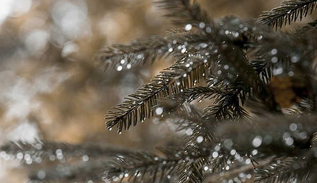 POČASÍ NA PÁTEK: Teploty vystoupají až k 10 °C