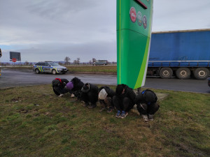 Jihomoravská policie objevila v rumunském kamionu šest migrantů