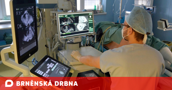 New ultrasound will help treat prostate cancer |  Health |  News |  Brno Gossip