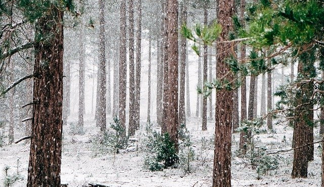 Počasí. Zdroj: Pixabay