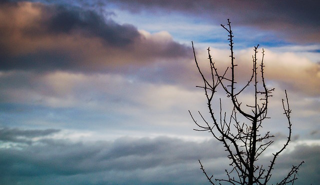 Počasí. Zdroj: Pixabay