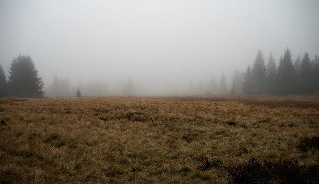 POČASÍ NA PÁTEK: Zataženo a mírné mrholení