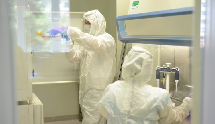 Do Nemocnice u svaté Anny dorazilo 10 tisíc balení ivermektinu, bude jím léčit covid