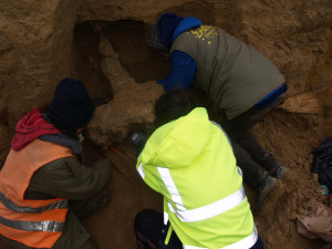 Archeologové hlásí vzácný nález, našli zkamenělou lebku pravěkého zubra