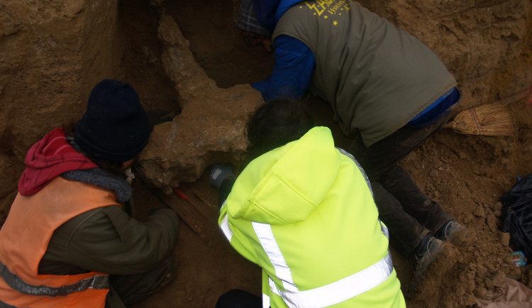 Nález zubra archeology překvapil