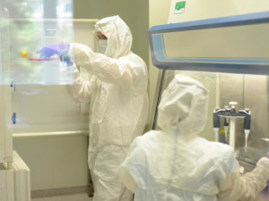 Svatoanenská nemocnice v Brně odhalila případ jihoafrické mutace