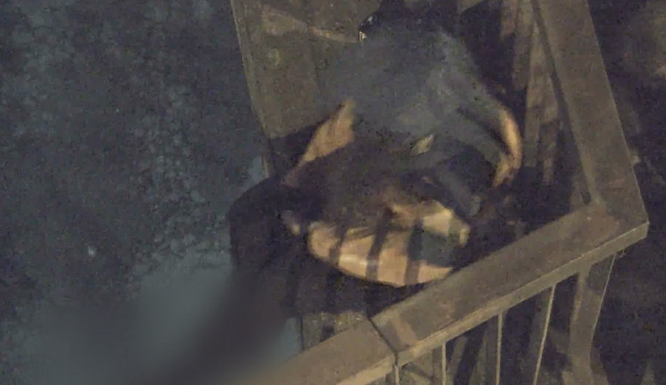 Žena by nejspíš nedopadla dobře