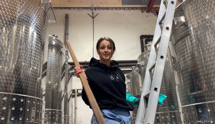 Co se skrývá za sklenkou vína aneb sklep(mistr) dělá víno