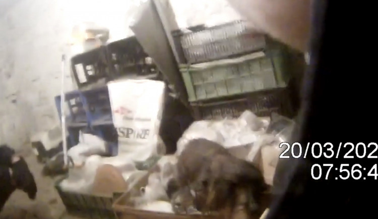 Jezevčík štěkal v cizím sklepě