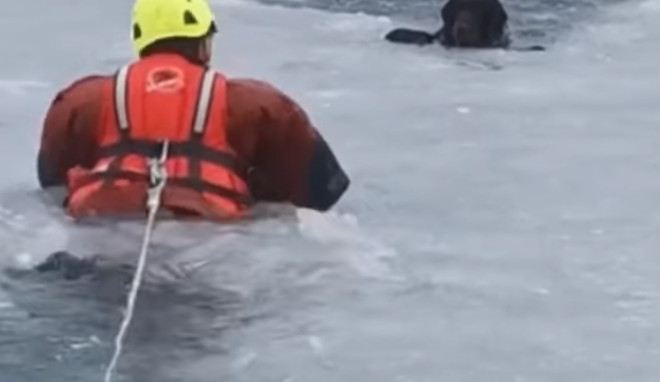 Hasiči vytáhli z jablonecké přehrady psa, pod kterým se prolomil led