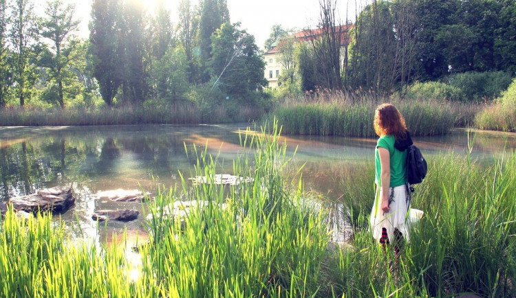 Unikátní mokřady v Jablonném se rozšíří. Přibude zde dvacet nových tůní