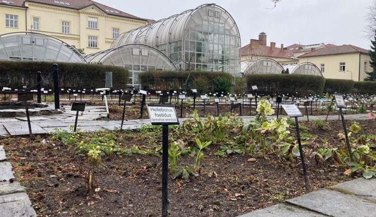 Brněnská botanická zahrada zahájila novou sezónu