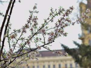 Botanická zahrada Masarykovy univerzity zahájila novou sezónu